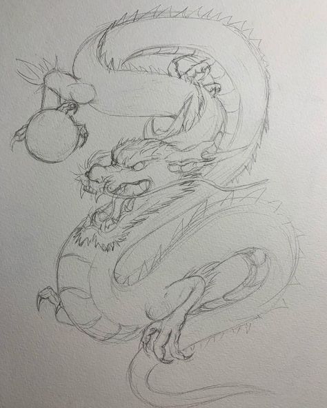 Serellis Art & Design on Instagram: “First traditional Japanese dragon sketch!! - - - DMs open Email: Alex.serellis@protonmail.com - - - #art #artist #tattoodesigns #design…” Dragon Sketch Drawing, Art Sketches Dragon, Dragons Sketch, Japanese Drawing Ideas, Dragon Hands, Japanese Art Drawing, Traditional Sketches, Drawing Dragons Sketches, Chinese Sketch