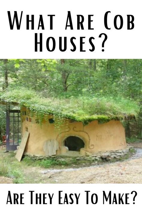 If you have spent any time at all researching off-the-grid houses and energy-efficient homes, you probably have run across the mention of a cob house. A cob house is not made from corn cobs, as I first assumed when I heard the term, but rather uses a mixture of sand, straw, and clay similar to an adobe house to build a sturdy, non-traditional house that is surprisingly easy to construct, and durable. Cob House Interior, Cob Building, Resort Cabins, Adobe House, Health Blogger, Tiny House Floor Plans, Cob House, Family Diy, Corn On Cob