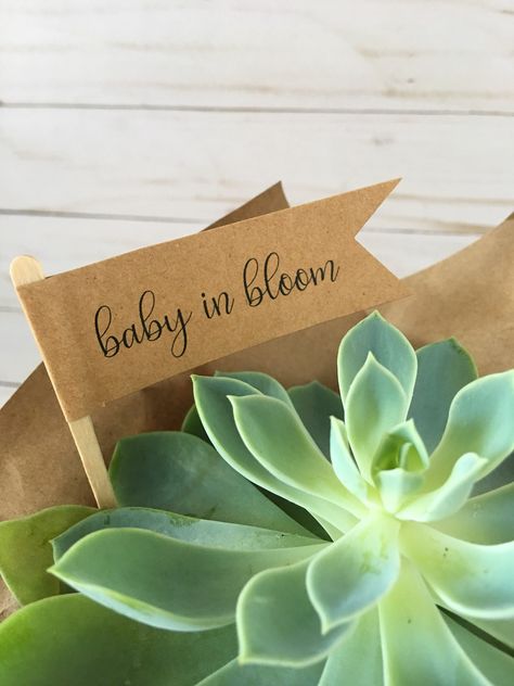 Baby in Bloom Plant Flags, Baby Shower Favor, Bridal Shower Favors, Baby in Bloom Tags, Watch me Grow Sticks by CallMeCraftie on Etsy https://www.etsy.com/listing/601145420/baby-in-bloom-plant-flags-baby-shower Budget Baby Shower, Flag Tag, Succulent Wedding Favors, Boy Baby Shower Ideas, Baby In Bloom, Baby Shower Girl, Trendy Baby Shower Ideas, Bloom Baby, Baby Shower Favor