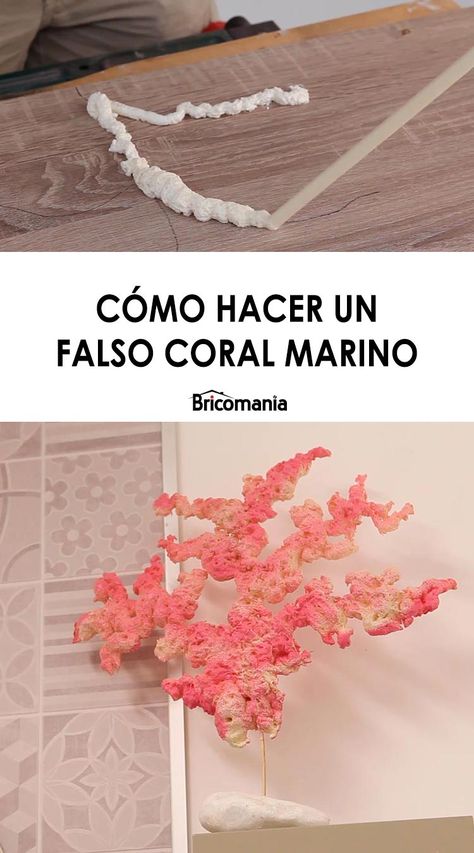 Coral Diy, Diy Coral, College Living, Sea Coral, Frogs, Under The Sea, 1st Birthday, Make Your Own, Art Projects