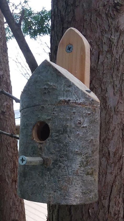 Hummingbird House : 4 Steps (with Pictures) - Instructables How To Make A Hummingbird House, How To Build A Hummingbird House, Humming Bird Houses Diy, Hummingbird House Diy, Rustic Bird Houses, Hummingbird Houses, Homemade Hummingbird Feeder, Bat House Plans, Birdhouse Plans