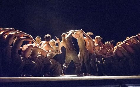 Looks like something that I would choreograph.... Physical Theatre Ideas, Movement Theatre, Akram Khan, Animals Running, English National Ballet, Physical Theatre, Theatre Inspiration, Theatre Performance, Dance Movement