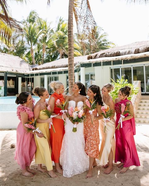 A lil Mexico moment 🌊🐚 Here is your sign to have a destination wedding!! •had so much fun helping out the wonderful @photoandfilmsbyabigale with her beautiful Cancún wedding!!🌴 #destinationwedding #wedding #weddingday #mexicowedding #weddingplanner #mexicowedding #weddingphotography #bride #weddingphotographer #weddinginspiration #weddinginitaly #weddingdress #destinationelopement #instawedding #destinationweddingphotographer #luxurywedding #italianwedding #groom #italywedding #weddings #... Fall Mexico Wedding, Mexico Wedding Color Schemes, Mexico Wedding Colors, Tropical Wedding Bridal Party, Cabo Wedding Ideas, Mexico Wedding Party, Columbian Wedding, Tropical Bridesmaids, Dreams Riviera Cancun Wedding