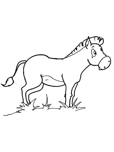 Mexican Donkey Eating Grass Coloring Pages : Color Luna Donkey Coloring Page, Grass Coloring, Mexican Donkey, Nail Time, Book Page, Color Therapy, Coloring Book Pages, Coloring Pictures, Adult Coloring Books