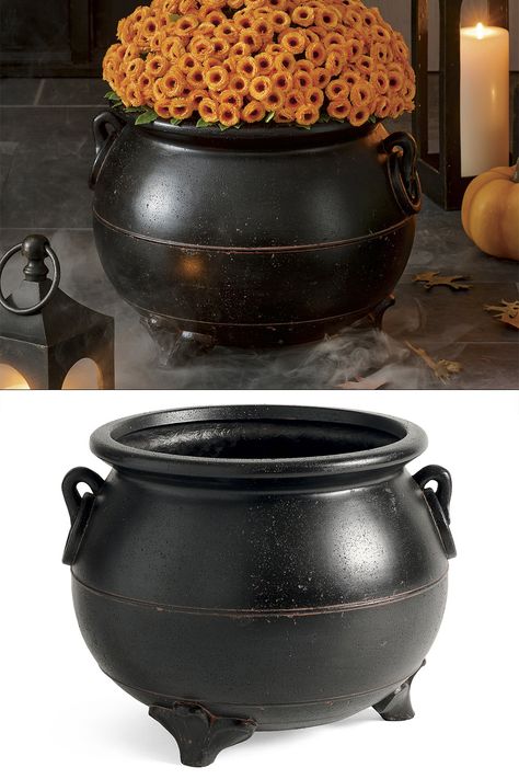 While it might look like a witch's black cauldron for brewing up bubbling concoctions and other assorted wicked witchcraft, it's actually just a spooky planter. 🧙🎃 Cauldron Planter, Black Cauldron, Spooky Black, The Black Cauldron, Flower Pot, Flower Pots, Wicked, Witch, Halloween