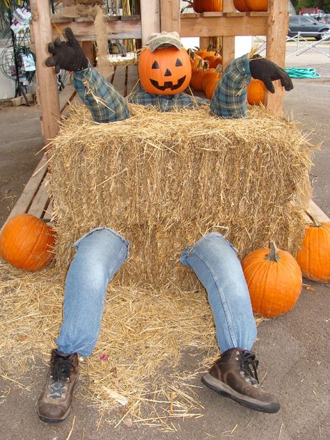 Charity Shop Display Ideas, Outside Fall Decorations, Fall Festival Decorations, School Fall Festival, Fall Photo Props, Scarecrow Ideas, Fall Yard Decor, Scarecrows For Garden, Halloween Photo Booth