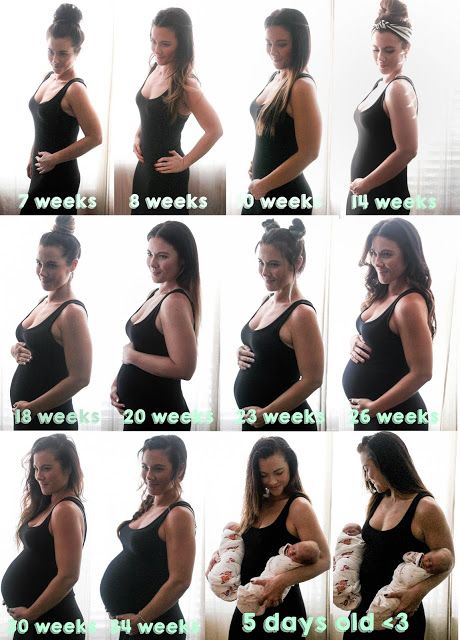 Twin pregnancy pictures - month by month. How to create silhouette pregnancy pictures! // Creating the Silver Lining: Twin Bump Through the Months Pregnancy Progress Pictures, Pregnancy Bump Photos, Bump Progression, Twin Pregnancy Belly, Baby Bump Progression, Vom Avea Un Copil, Pregnancy Timeline, Twin Pregnancy Announcement, Baby Bump Pictures