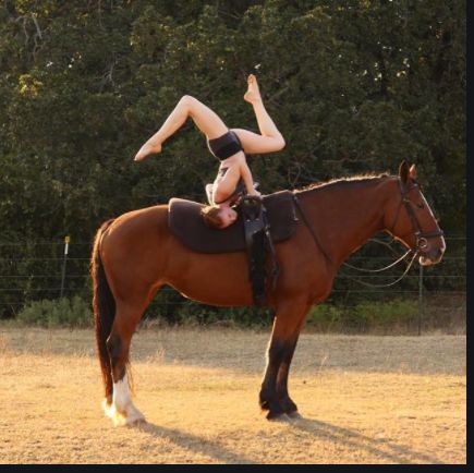 Vaulting Equestrian, Horse Yoga, Horse Vaulting, Trick Riding, Horse Tips, The Greatest Showman, Horse Equestrian, Fun Hobbies, Blog Content