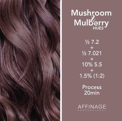 Ashy Rose Brown Hair, Best Brunette Hair Color To Cover Grey, Mushroom Brown Formula, Mauve Brown Hair, Subtle Rose Gold Hair Brunette, Dusty Mauve Hair Color, Mulberry Hair Color, Chocolate Mauve Hair, Rose Gold Hair Brunette