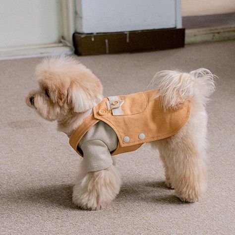 Cute Pet Clothes, Dog Apparel Pet Fashion, Dog With Clothes, Small Dog Outfits, Cute Dog Outfits, Cute Puppy Clothes, Puppy Outfits, Dog Overalls, Boy Dog Clothes