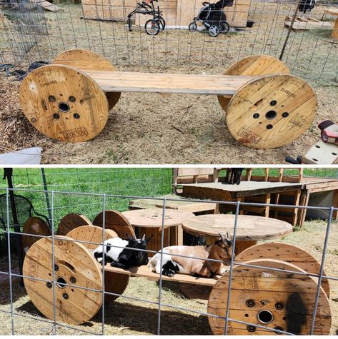 Goat Jungle Gym Diy, Goat Feeders Grain, Farm Airbnb Ideas, Goat Pen Ideas Play Areas, Goat Enrichment Ideas, Goat Enclosure Ideas, Diy Goat Toys, Goat Feeder, Goat Playground