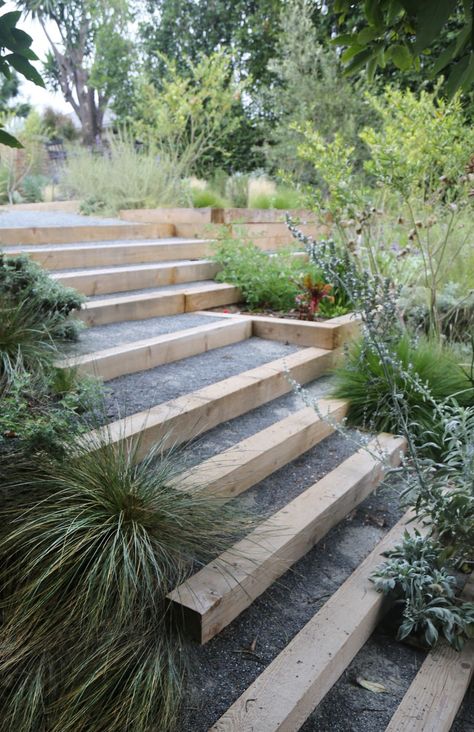 Outdoor Steps Landscaping, Steps In Garden Ideas, Outdoor Garden Steps Ideas, Landscaping Around Stairs, Sloping Gardens Hillside Landscaping, Garden On The Slope, Step Down Garden Ideas, Stairs Landscape Design, Backyard Steps Ideas