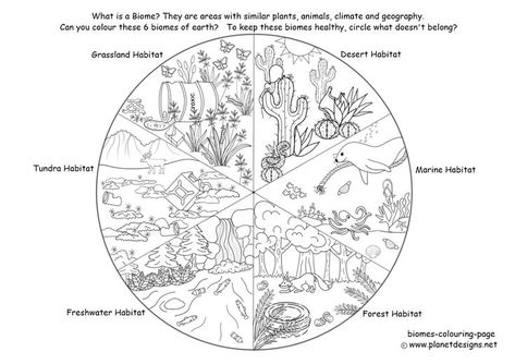 A free colouring activity with 6 of the main biomes of the world to colour and circle the pollution that needs to be removed to keep the world healthy. Useful kids resource for World Clean Up Day and environmental studies. World Clean Up Day, Biomes Activities, Ecosystem Activities, Planet Coloring Pages, Earth Science Activities, Clean Up Day, Free Kids Coloring Pages, Early Childhood Learning, Ocean Activities