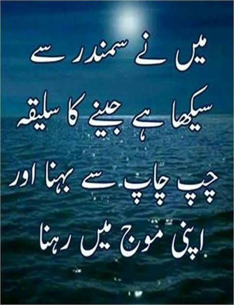 Aqwale Zareen In Urdu, Urdu Motivational Quotes, Aqwale Zareen, Inspirational Quotes In Urdu, Good Day Messages, Urdu Funny Poetry, Funny Quotes In Urdu, Impress Quotes, Quotes Urdu