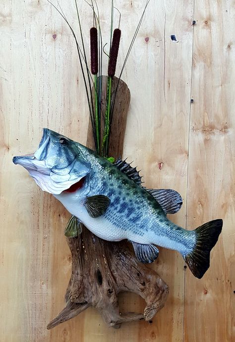 Bass Mounts Largemouth, Fish Mounts Ideas, Large Mouth Bass Pictures, Hunting Living Room Decor, Bass Mounts, Druid House, Hunting Living Room, Hunting Decor Living Room, Duck Hunting Decor