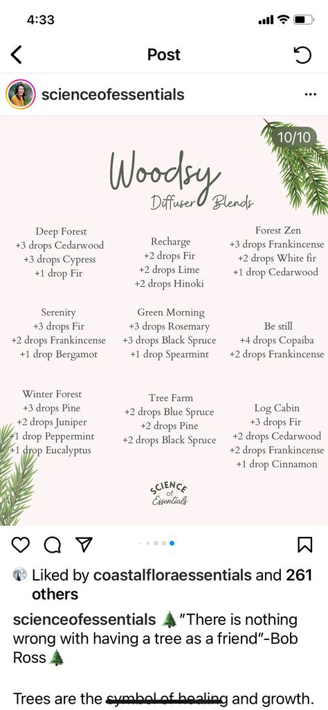 Cypress Diffuser Blends, Pine Diffuser Blend, Woodsy Diffuser Blends, Forest Diffuser Blends, Orange Essential Oil Blends, Birch Essential Oil, Christmas Diffuser Blends, Cardamom Essential Oil, Cypress Essential Oil