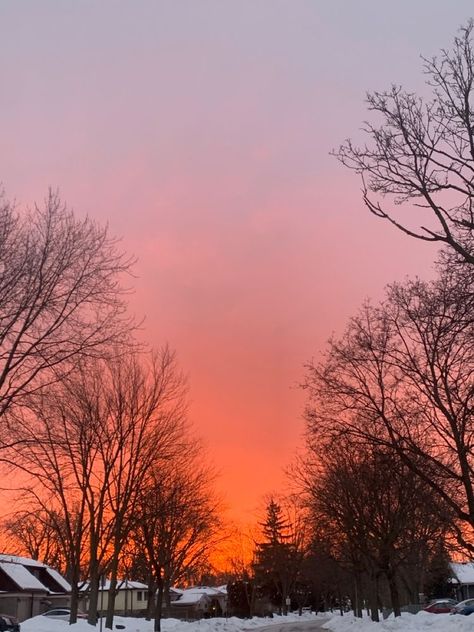 winter sunrise, sky photos, sky, winter aesthetic, sunrise photos, winter, golden hour Sunrise Winter, Aesthetic Sunrise, Moon Rainbow, Photos Winter, Winter Sunrise, Sunrise Photos, Sky Photos, Red Tulips, Winter Aesthetic