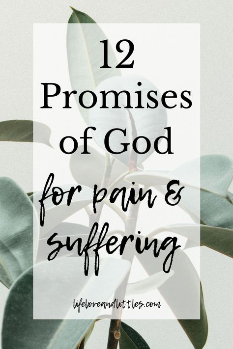 Scripture About Gods Promises, Scripture Of Healing, God Promises Scriptures, Bible Verses About Pain, Gods Promises Verses, Bible Verses On Healing, Suffering Bible Verses, Gods Promises Quotes, List Of Bible Verses