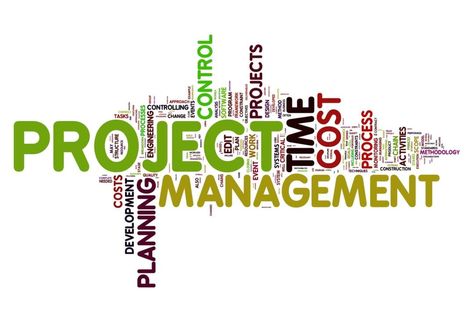 Project Management Project Management Logo, What Is Software, Project Risk Management, Project Management Courses, Software Project Management, Project Management Certification, Software Development Life Cycle, Management Logo, Project Management Professional