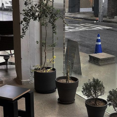 On The Side, Building, Grey, Plants, On Instagram, Blue, Instagram