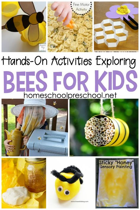 Engaging, hands-on activities exploring bees for kids! Kids will love learning about honey bees with these fun facts and hands-on activities. #homeschoolprek #beesforkids #preschoolbees #handsonpreschool Bee Stem Activities, Bee Lessons For Preschoolers, Honeybee Activities, Honey Bee Crafts, Bee Sensory Bin, Bees Activities, Beehive Craft, Learning About Bees, Bee Projects