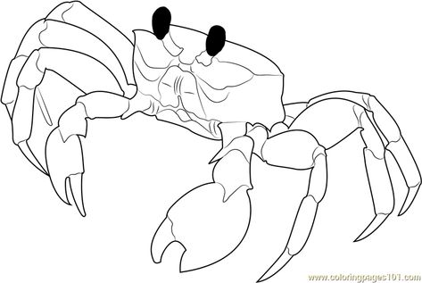 Crab Coloring Page, Crab Printable, Crab On Beach, Blue Crabs Art, Ghost Crab, Florida Ghost, Beach Coloring Pages, Sea Creatures Art, Crab Art