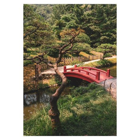 Japanese gardens are truly exceptional. Japan is renowned for being one of the most clean and organized countries in the world, and certainly the most organized I've ever visited. Its gardens are the ultimate expression of this meticulousness. These photos are from Ritsurin Garden in Takamatsu, Kagawa Prefecture. . #Takamatsu #bestphoto_japan #daily_photo_jpn #IGersJP #bestjapanpics #Japan #voyaged #japan_vacations #livefolk #visitjapan #ilovejapan#exploremore #lonelyplanet #travelandlife #tr... Ritsurin Garden, Kagawa, Japanese Gardens, Countries In The World, Visit Japan, Travel Photographer, Daily Photo, Japanese Garden, Lonely Planet