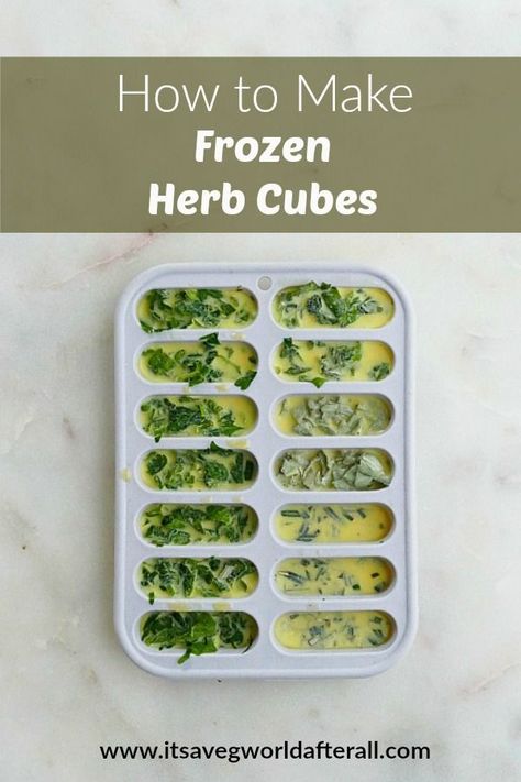 Freeze Herbs In Olive Oil Ice Cubes, Herb Cubes, Herbs In Oil, Garlic Dipping Oil, Souper Cubes, Freezer Ideas, Freezing Herbs, Freezing Food, Vegetables For Babies