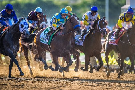 ON HORSE NATION: American Pharoah Upset by Keen Ice in the Travers American Pharoah, Belmont Stakes, Horse Names, Race Horses, Best Mate, Triple Crown, Kentucky Derby, Horse Racing, Track