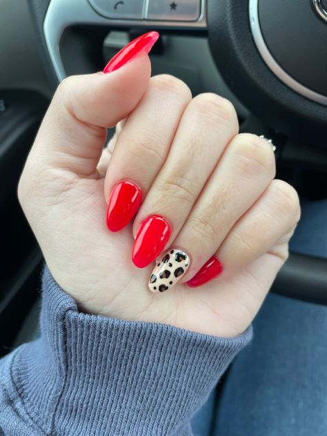 Leopard Gel Nails, Leopard Print Nail Designs, Nail Compilation, Red And Leopard, Leopard Print Nail, Cheetah Nail Designs, Nail Desi, 3d Nail Art Designs, Cheetah Nails