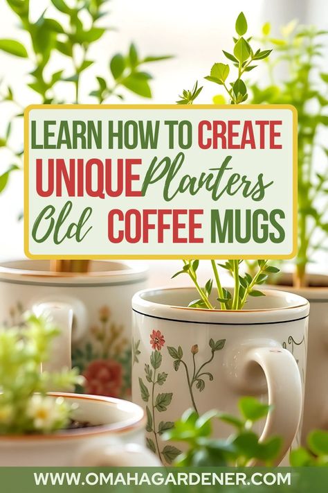 several small plants in coffee cups on a table with text overlay of Learn How to Create Unique Planters from Old Coffee Mugs by omahagardener.com Coffee Mug Planter, Cheap Planters, Cute Planters, Colorful Boots, Diy Planter, Backyard Gardening, Unique Planter, Planter Ideas, Plant Markers