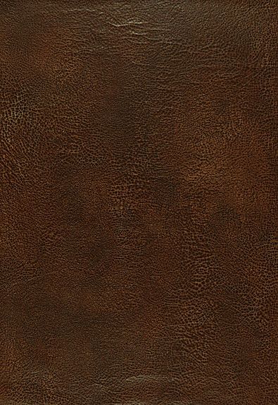 Leather wallpaper would add a classy, cozy touch to any rustic space. Texture Cuir, Brown Leather Texture, Schumacher Wallpaper, Modernist House, Photoshop Textures, Material Textures, Seamless Textures, Materials And Textures, Colored Highlights