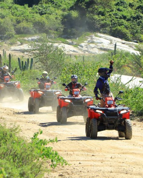 Get your adrenaline pumping with heart-racing adventures, all available at an exclusive 2x1 with @BajaPass! From ATV excursions to zip-lining through the jungle, there's no shortage of thrills to be had. Let the adventure begin! 🌟 Mexican Buffet, Tequila Tasting, Cabo Mexico, Atv Riding, Let The Adventure Begin, Atv Tour, Beach Bike, Beach Adventure, San Lucas