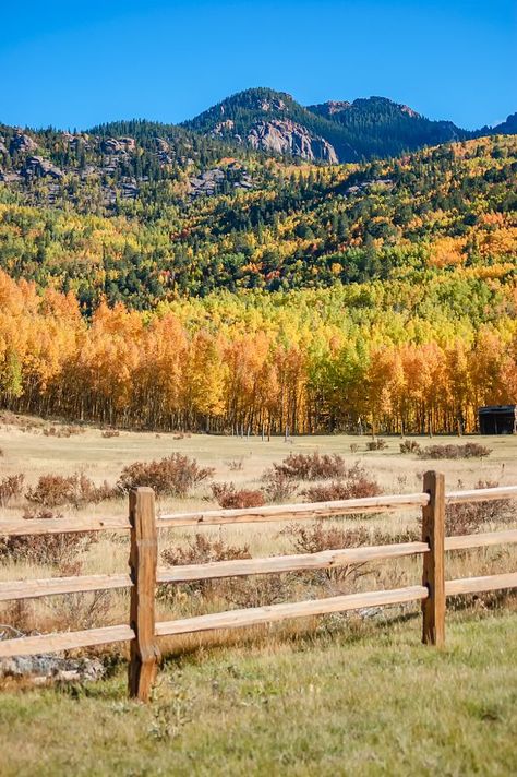 Fall Colors (Cripple Creek, Colorado) by Delores Poll on 500px Cripple Creek Colorado, Paradise Pictures, Colorado Fall, Beautiful Word, Explore Colorado, Colorado Landscape, Cripple Creek, Visit Colorado, Colorado Vacation