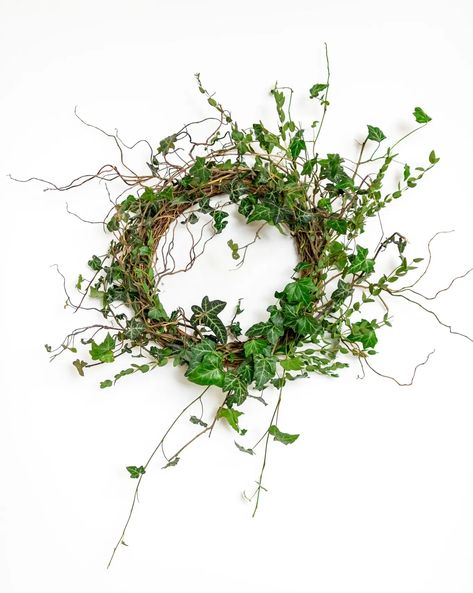 Nature Wreath, Ivy Wreath, Dream Photography, Greenery Wreath, Preserved Flowers, Wreath Ideas, How To Preserve Flowers, Photography Studio, Spring Wreath