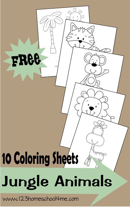 Super cute free printable coloring pages with a jungle theme. These animal coloring sheets are great for toddler, preschool, kindergarten, and more. Preschool Jungle, Zoo Preschool, Jungle Crafts, Jungle Animal Art, Zoo Crafts, Jungle Theme Classroom, Jungle Thema, Baby Animal Art, Animals Coloring