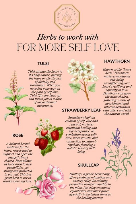 Embracing the Power Within - Self love is vital for a happy and healthy life. There are many herbs that can support you on your journey of self-love, but these five are some of my favorites to work with! Plants For Self Love, Self Love Herbs And Spices, Self Love Herbs And Oils, Self Love Herbs Witchcraft, Herbs For Self Love, Natural Apothecary, Herb Magic, Love Herbs, Tea Blends Recipes