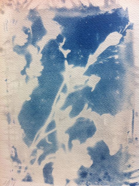 Cynotype Clothes, Cynotype Images, Photography Cyanotype, Cyanotype With Negatives, Large Cyanotype, Wet Cyanotype Process, Toned Cyanotype, Art Motivation, Alternative Photography