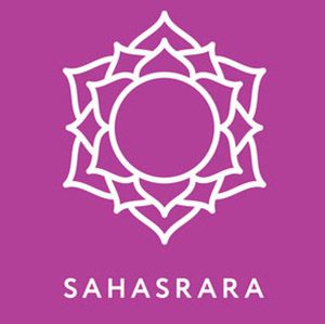 A Quick Guide to Chakra Symbols and Their Meaning | YogiApproved Symbol Meanings, Sahasrara Chakra, Chakra Tattoo, Yoga Symbols, Alchemic Symbols, Shri Yantra, Chakra Symbols, Chakra Art, Unique Symbols