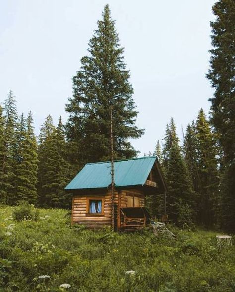 Cabin Chronicles, Creekside Cabin, Norway House, Building A Small House, Log Home Living, Treehouse Cabins, Cozy Log Cabin, Cabin Tiny House, Cozy Cabins