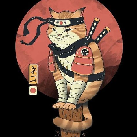 strspb в Instagram: «#str, #cat, #ninja, #samurai, #strange» Ninja Cats, Japon Illustration, Cat Kids, Cat Art Print, Cat Hoodie, Cat Posters, Cat T, Cat Design, Cat Tshirt