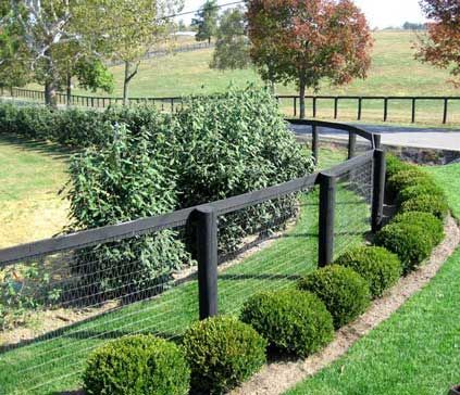 .: Fence Diy, Fence Options, Black Fence, Cheap Fence, Simple Garden, Garden Privacy, Diy Fence, Building A Fence, Front Yard Fence