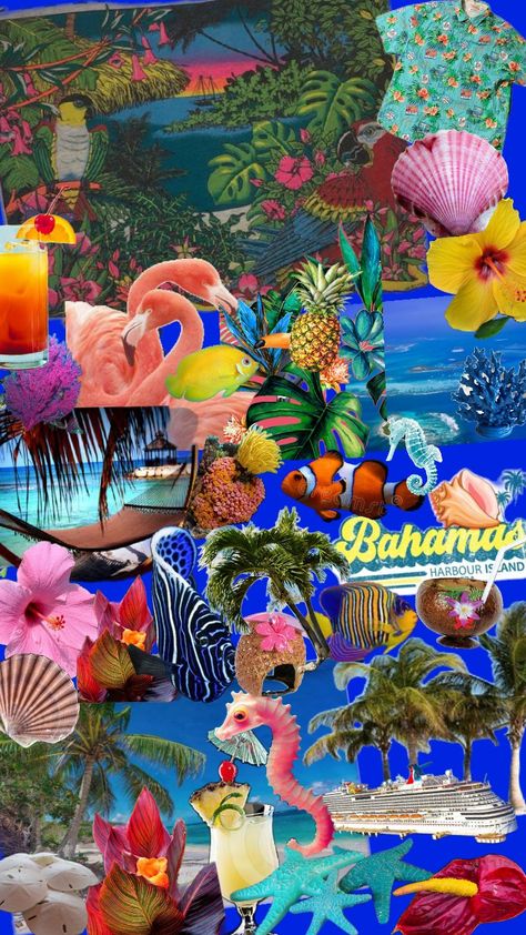 Bahamas Bahamas Themed Party, Bimini Bahamas Aesthetic, Bahamas Culture, Bahamas Aesthetic, Bach Party, Travel Aesthetic, Color Palettes, Bahamas, Travel Essentials