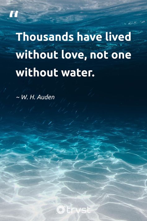 Experience the essense of life through water. "Thousands have lived without love, not one without water." - W. H. Auden reminds us of the priceless value of this precious resource. Prioritize conservation to ensure everyone, everywhere, enjoys the purest H2O. Join us on this journey. #trvst #waterquotes #quotes #socialchange #ecoconscious #sea #water #waves #love #calm 📷 @silasbaisch Quotes On Water, Water Life Quotes, Water Sayings Quotes, Deep Waters Quotes, Quotes About Water Nature, Save Water Quotes, Quotes On Save Water, Treading Water Quotes, Kindness Quotes Inspirational