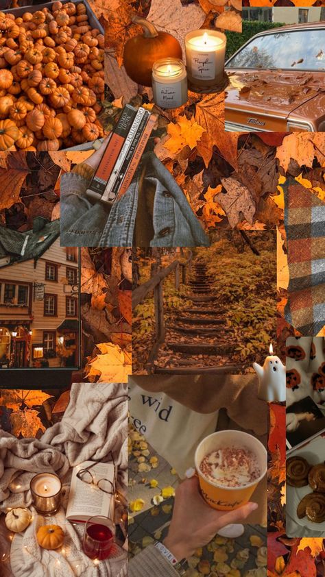 Fall Halloween Wallpaper, Gilmore Girls Style, Collage Autumn, Gilmore Girls Fashion, Wallpaper Vibes, Autumn Leaves Art, Autumn Wallpaper, Fall Mood Board, Fun Fall Activities