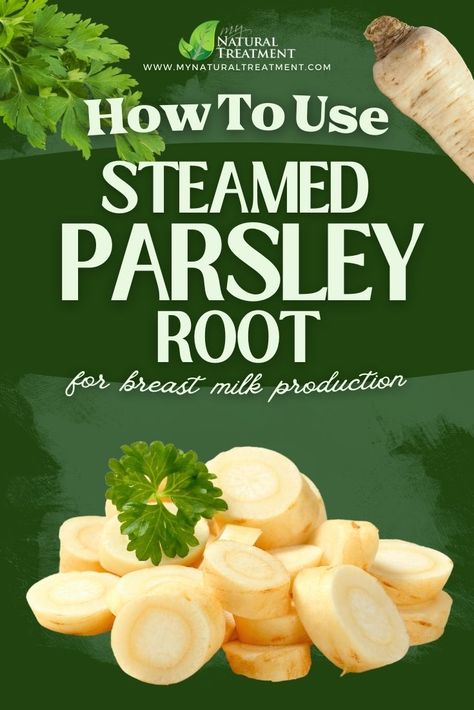 How to Use Steamed Parsley Root #parsley #parsleyroot #parsleyuses #steamedparsley #parsleyrootuses #parsleyrootbenefits Parsley Root, Fruit Health Benefits, Fruit Benefits, Milk Production, Health Conditions, Natural Treatments, Low Iron, Breast Milk, Fruits And Veggies