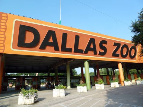 Picture of Zoo Entrance | Zoo Entrance » Dallas Zoo Gallery Things To Do In Dallas, Dallas Zoo, Cheap Things To Do, What A Wonderful World, Cheap Things, All I Ever Wanted, Texas Travel, The Perfect Guy, Oh The Places Youll Go