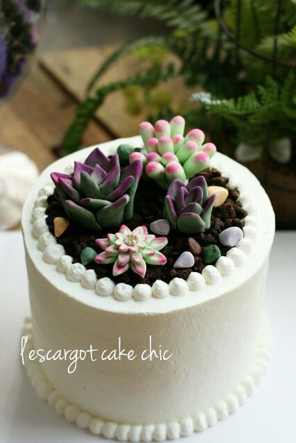 Plant Themed Birthday Cake, Plants Cake Design, Plant Cake Design Birthday, Plant Lover Cake, Plant Cake Design, Succulent Cake Ideas, Plant Themed Cake, Succulent Birthday Party, Succulents Cake