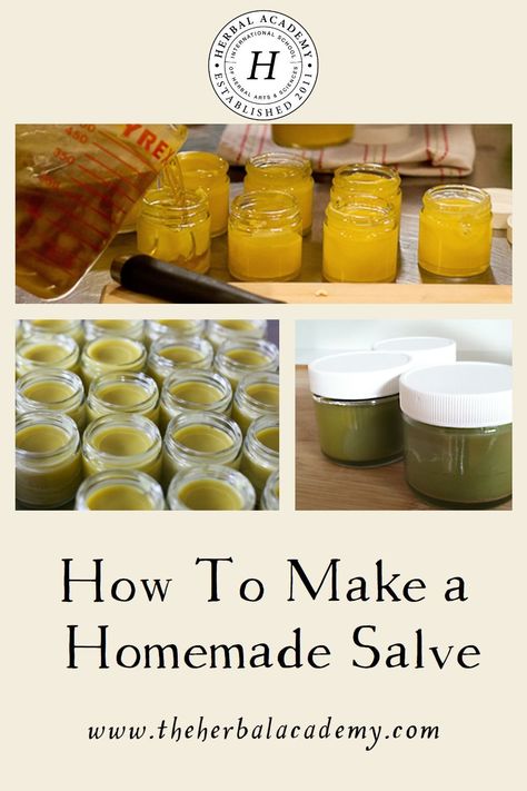 How To Make a Homemade Salve | Herbal Academy | Making a homemade salve is easier than you think! We are sharing two recipes and a tutorial for making a homemade salve. Magnesium Salve Recipe, Golden Rod Salve Benefits, Homemade Salves And Balms, Devils Club Salve Recipe, Drawing Salve Recipe Diy, Cayenne Pepper Salve Recipe, How To Make Herbal Salves, Healing Salve Recipe Diy, Homemade Drawing Salve