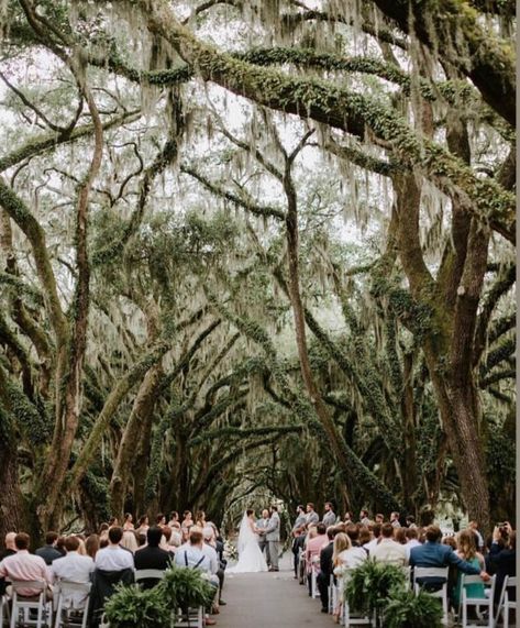 Bayou Wedding Louisiana, Louisiana Wedding Venues Outdoor, Malibu Oaks Wedding, Wedding Venue South Carolina, Wedding Venues South Carolina, Hilton Head Wedding, Louisiana Wedding, Lowcountry Wedding, South Carolina Wedding